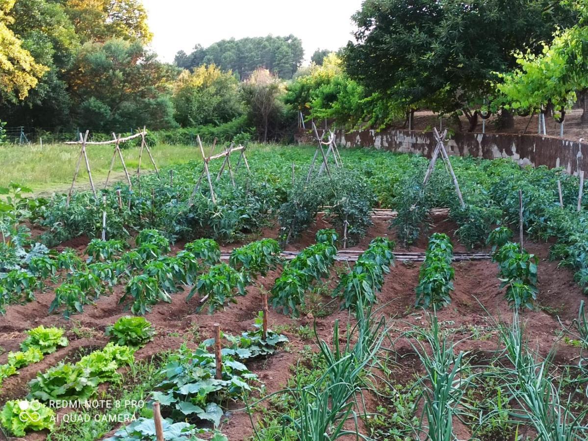 Finca Vergel Gata Eksteriør billede
